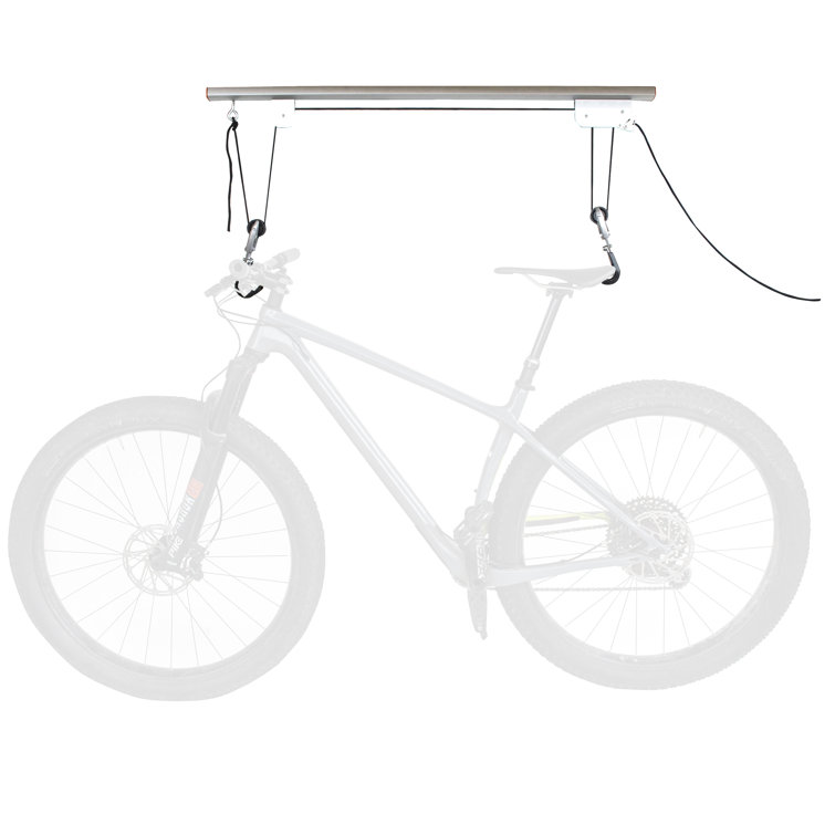 WFX Utility™ Ashby Ceiling Mounted Bike Rack & Reviews Wayfair